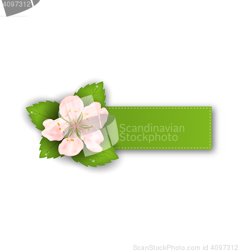 Image of  Special Offer Sticker with Flower, Isolated on White Background