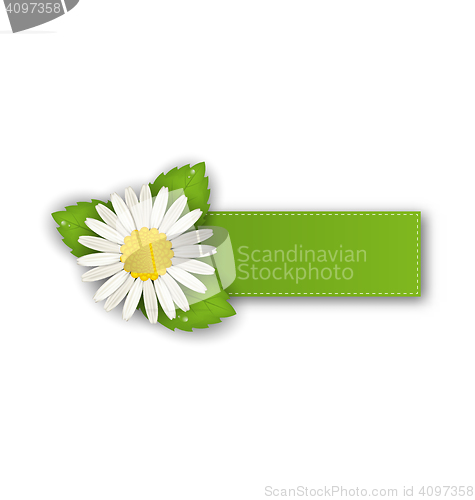 Image of Label or offer sticker with flower daisy, isolated on white back