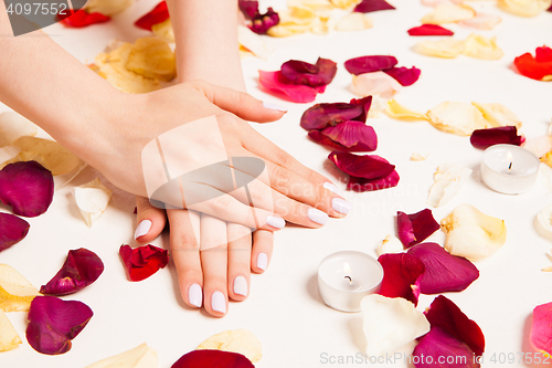 Image of Female gentle hands crossed surrounded with petals