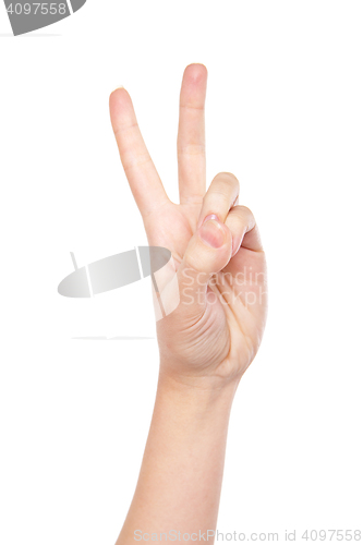 Image of Hand forming victory sign isolated on white 