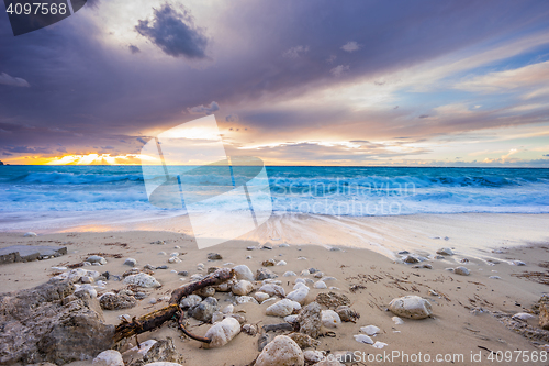 Image of Sunset at the beach