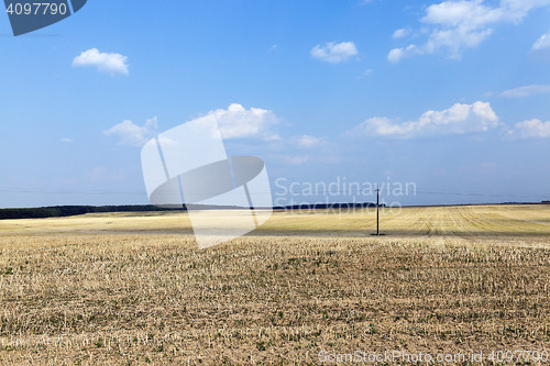 Image of farm field cereals