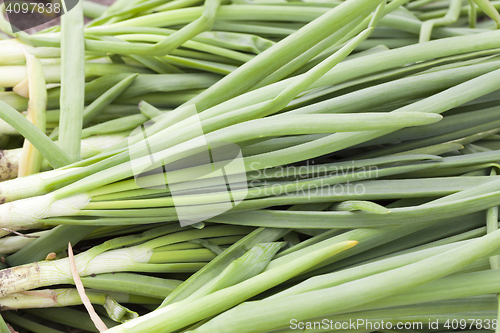 Image of green feathers bow