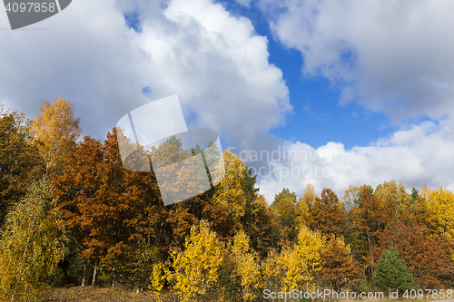 Image of Nature in autumn season