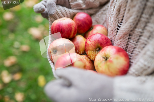 Image of woman with apples at autumn garden