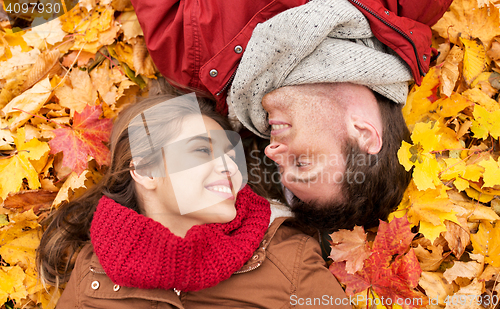 Image of close up of smiling couple lying on autumn leaves