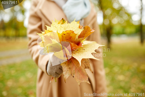 Image of close up of woman with maple leaves in autumn park