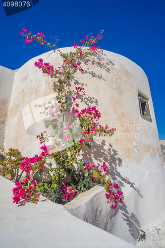 Image of Oia Santorini island Cyclades 