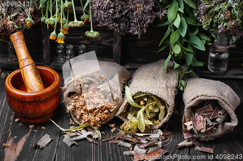 Image of traditional medicinal herb