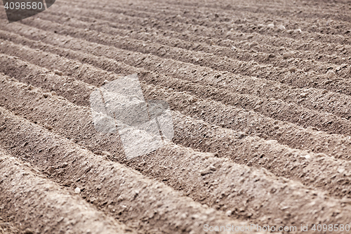 Image of plowed field, furrows