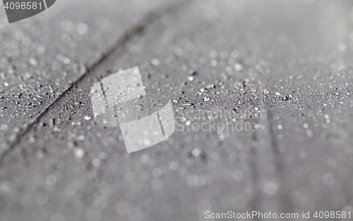 Image of raindrops on the umbrella