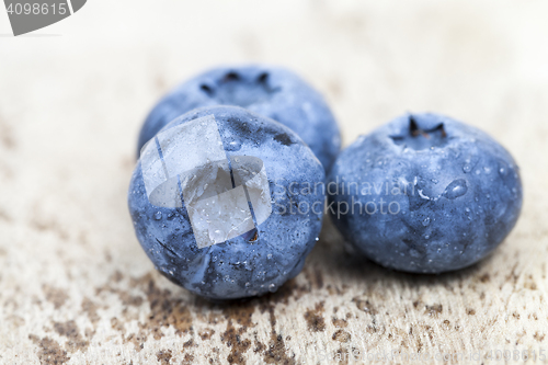 Image of ripe berries blueberry