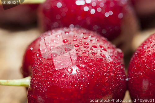 Image of red ripe cherry