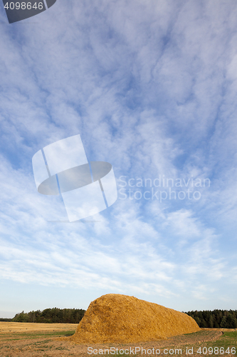 Image of stack of straw in the field