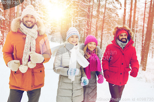 Image of group of smiling men and women in winter forest