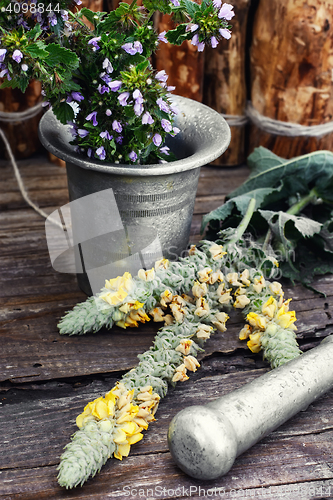 Image of Medicinal plants and mortar