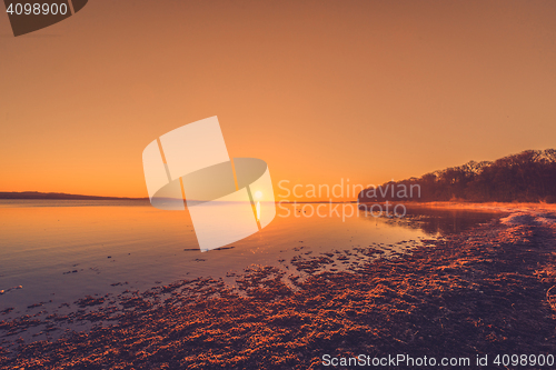 Image of Beach with seaweed