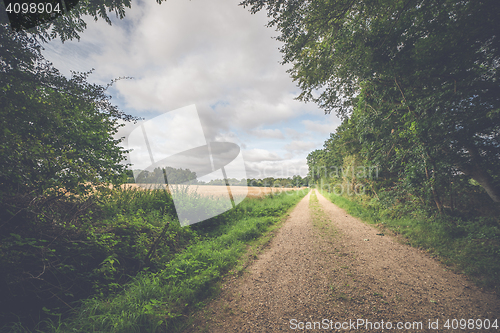 Image of Countryside landscape with a dirt trail