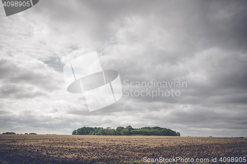 Image of Small forest on a rural field