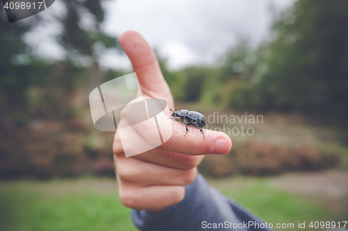 Image of Beetle on a hand giving thumbs up