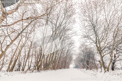 Image of Snow on the road