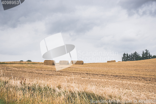 Image of Hay on a dry field in the summer