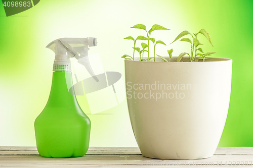 Image of Green plants with a spray can