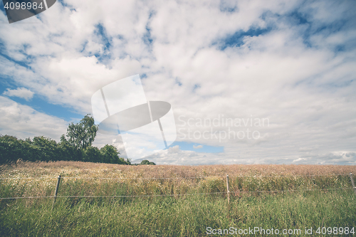 Image of Fence on a meadow