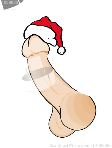 Image of human penis with red santa\'s cap