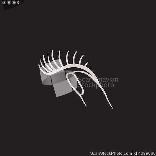 Image of False eyelashes sketch icon.