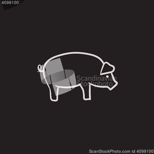 Image of Pig sketch icon.