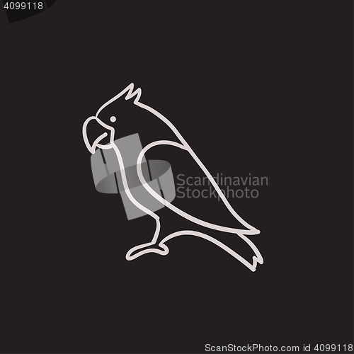 Image of Parrot sketch icon.