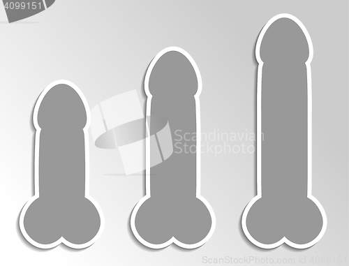 Image of three different size penises