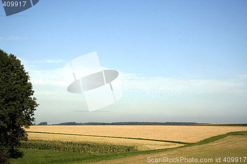Image of Country landscape