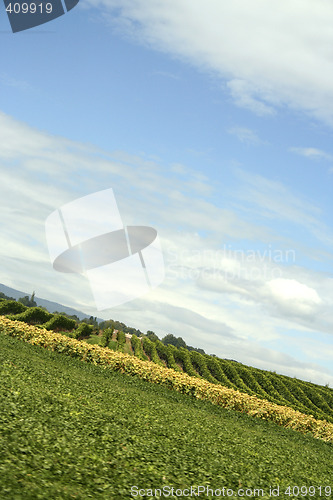 Image of Country landscape
