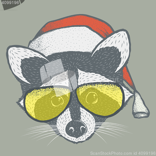 Image of Raccoon vector illustration