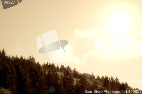 Image of Country landscape