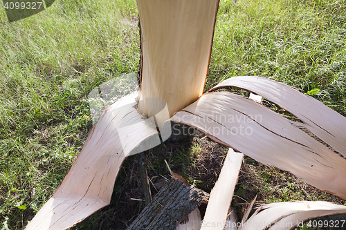 Image of weathered wood broken