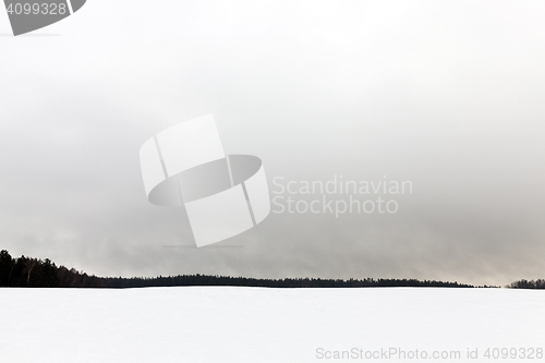 Image of fog in winter