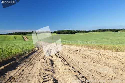 Image of Field with cereal