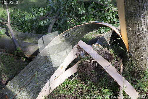 Image of weathered wood broken