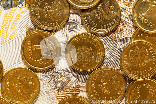 Image of Polish Zloty, close-up