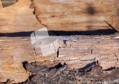 Image of Old cracked wood
