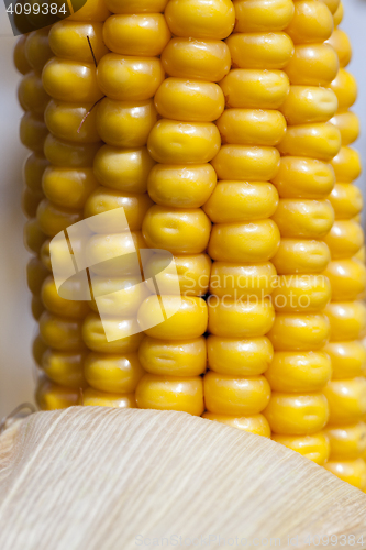 Image of mature corn crop