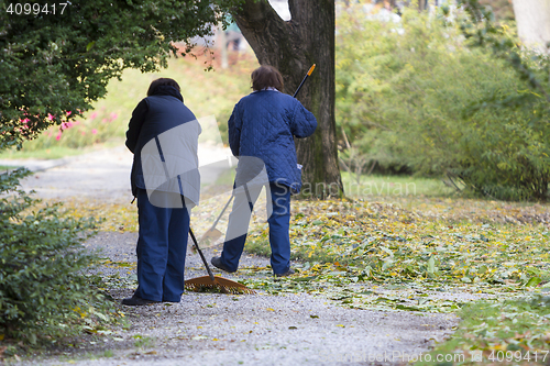 Image of Women Gardener raking fall leaves in city park