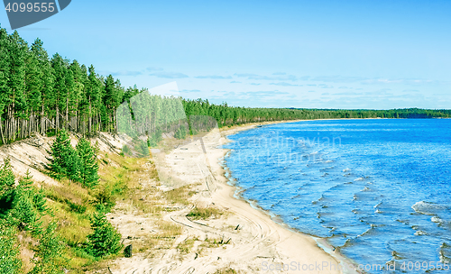 Image of Sandy Shore of Lake Onega