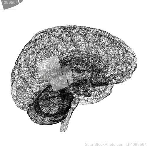 Image of Creative concept of the human brain