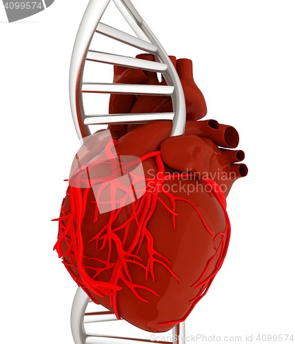 Image of DNA and heart. 3d illustration