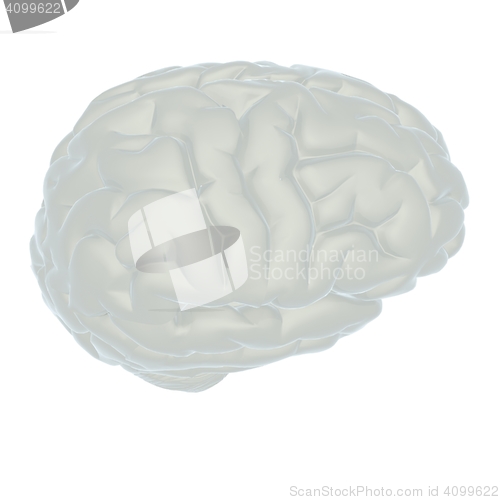 Image of 3D illustration of human brain