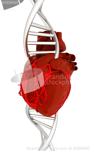 Image of DNA and heart. 3d illustration